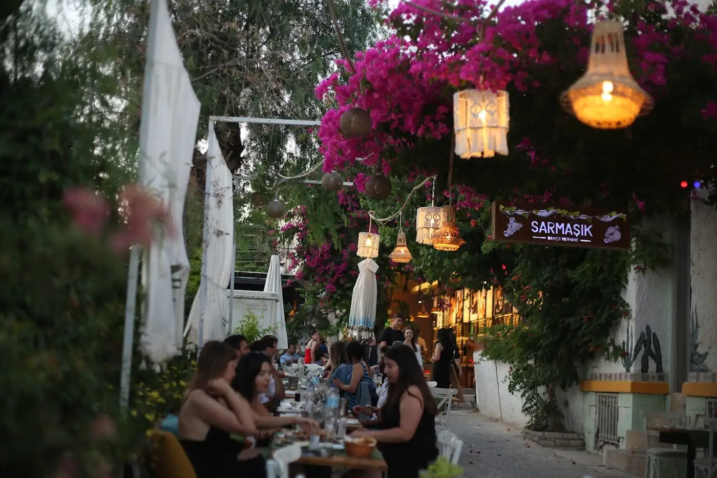 Sarmaşık Bahçe Alaçatı fotoğraf 3