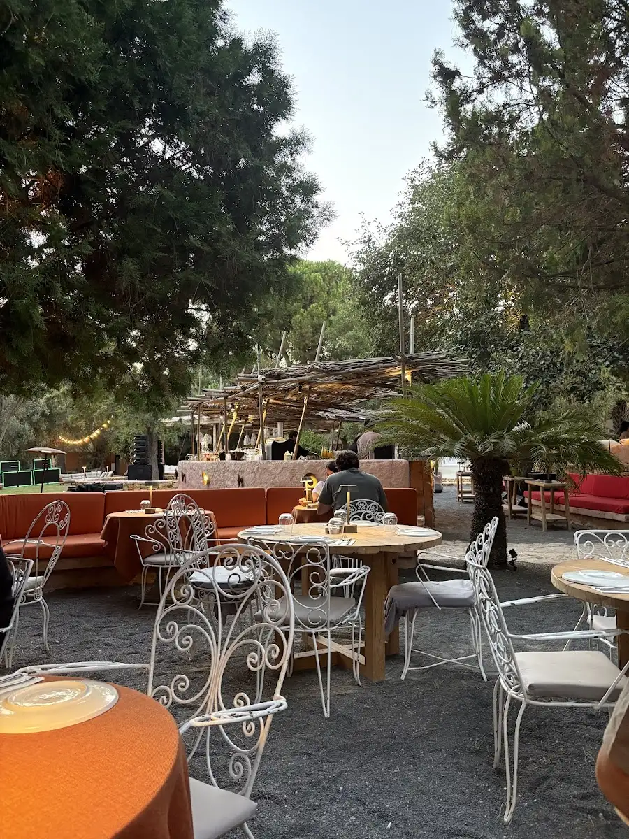 Tarla Alaçatı