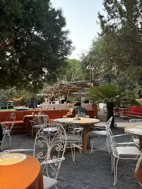 Tarla Alaçatı