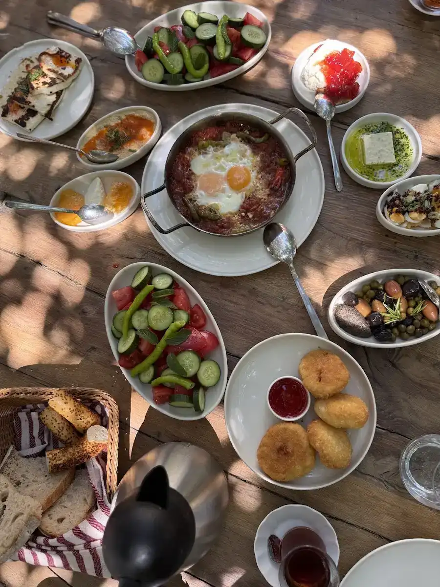 Tarla Alaçatı fotoğraf 3
