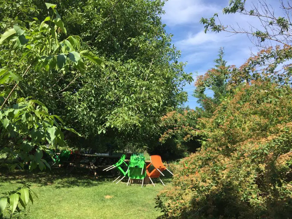 Cevizaltı Kahvaltı fotoğraf 3