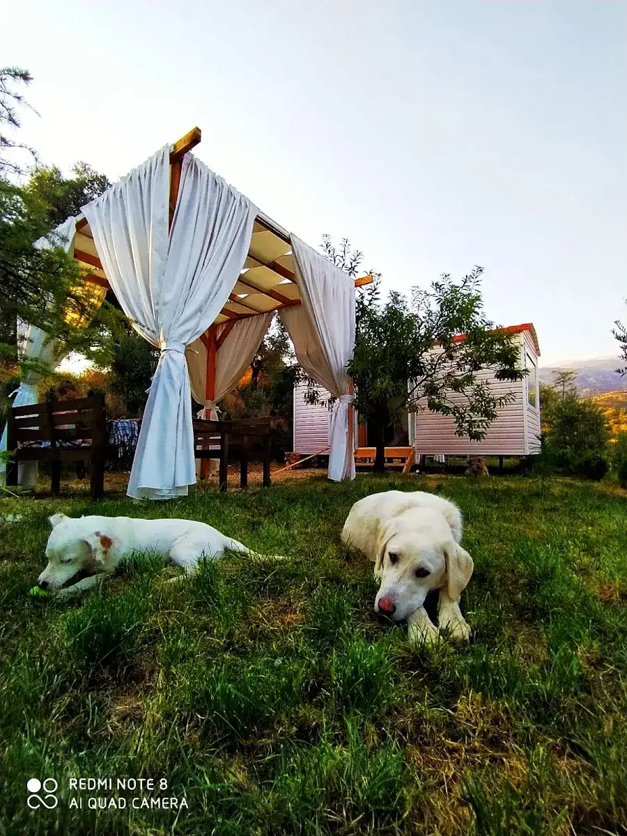 Hayal Tadında Glamping & Restaurant