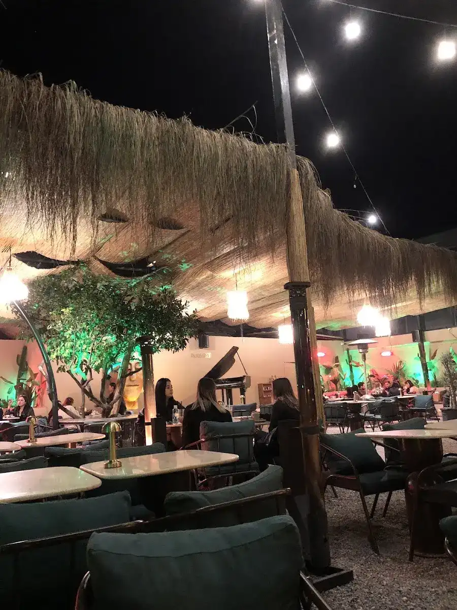 Rhei Social