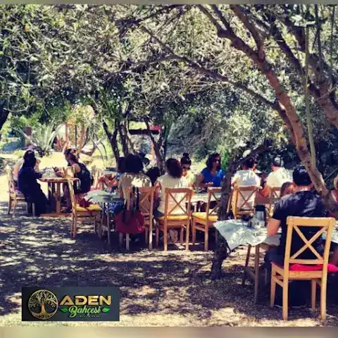 Aden Bahçesi Kozbeyli Kahvaltı / Çi Börek