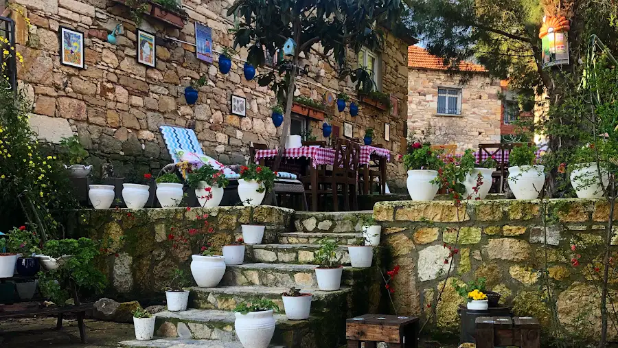 Ağaçlı Ev