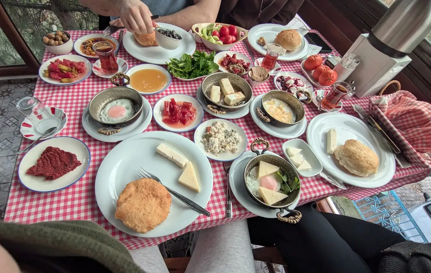 Ağaçlı Ev fotoğraf 3
