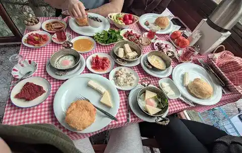 Ağaçlı Ev fotoğraf 3