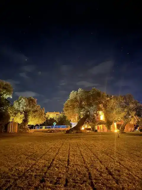 Foça İlçayto Rooms