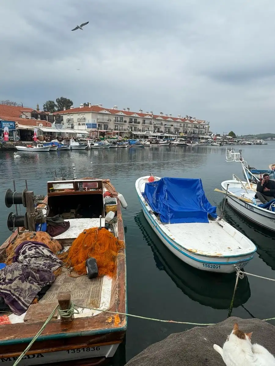 Foça Serpme Kahvaltı fotoğraf 2