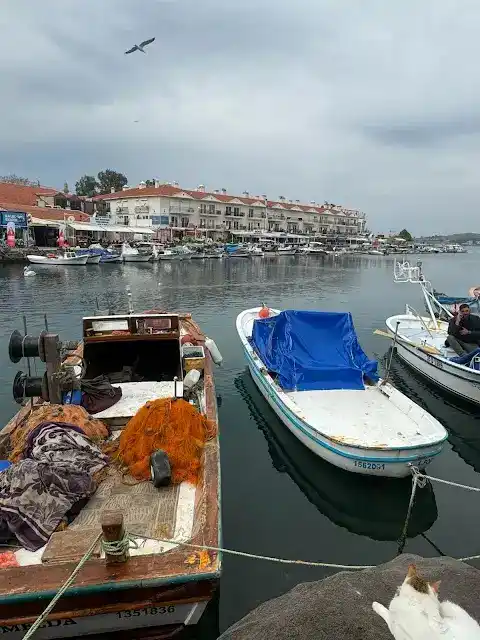 Foça Serpme Kahvaltı fotoğraf 2