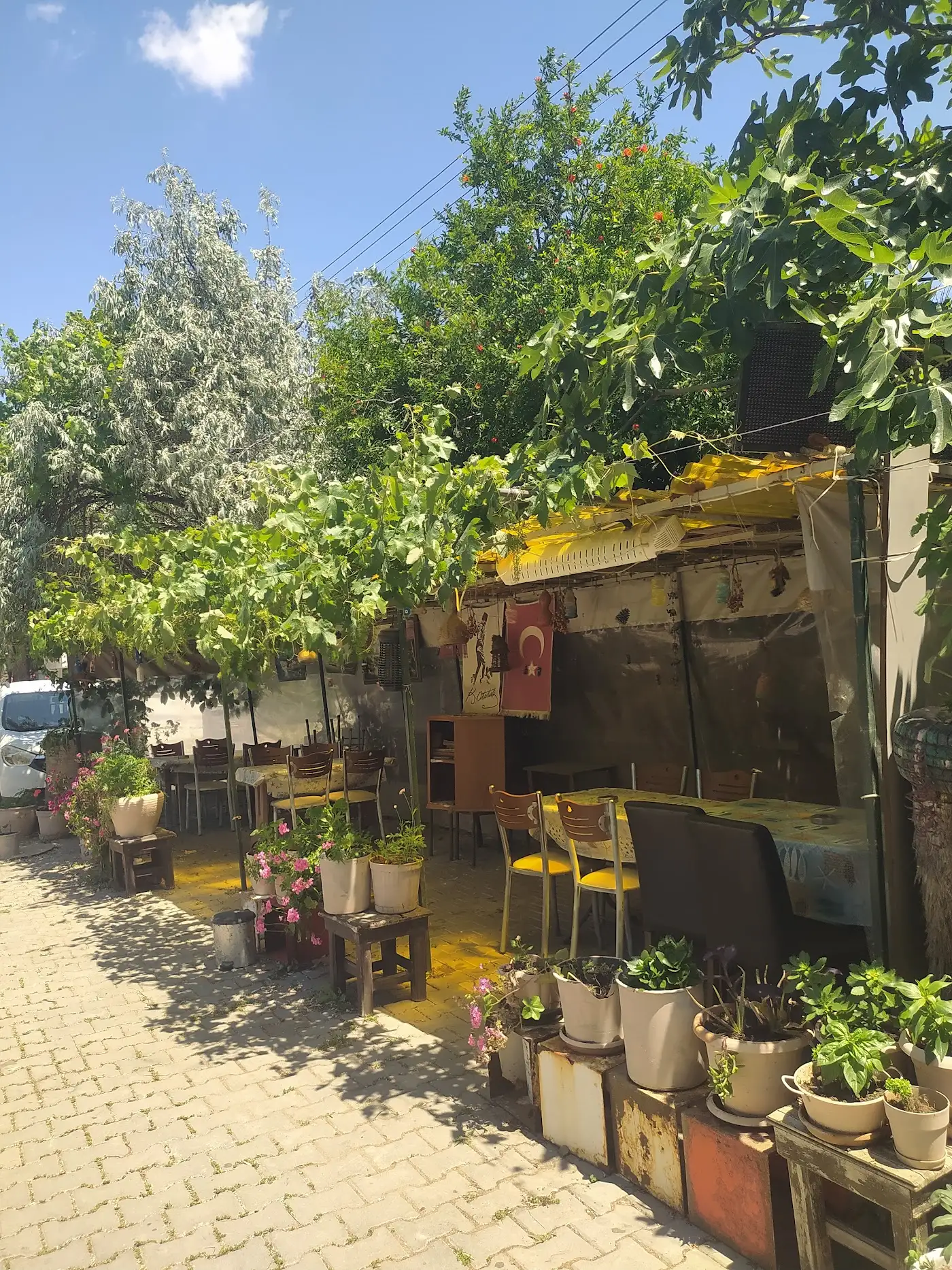 Gümüş Büfe & Meyhane fotoğraf 2