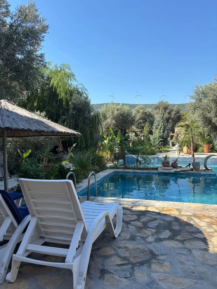 Serender Bungalov Otel fotoğraf 2