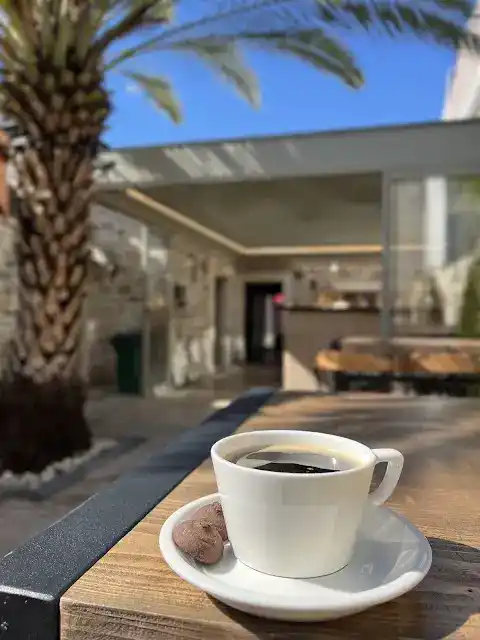 Teos Avlu fotoğraf 2