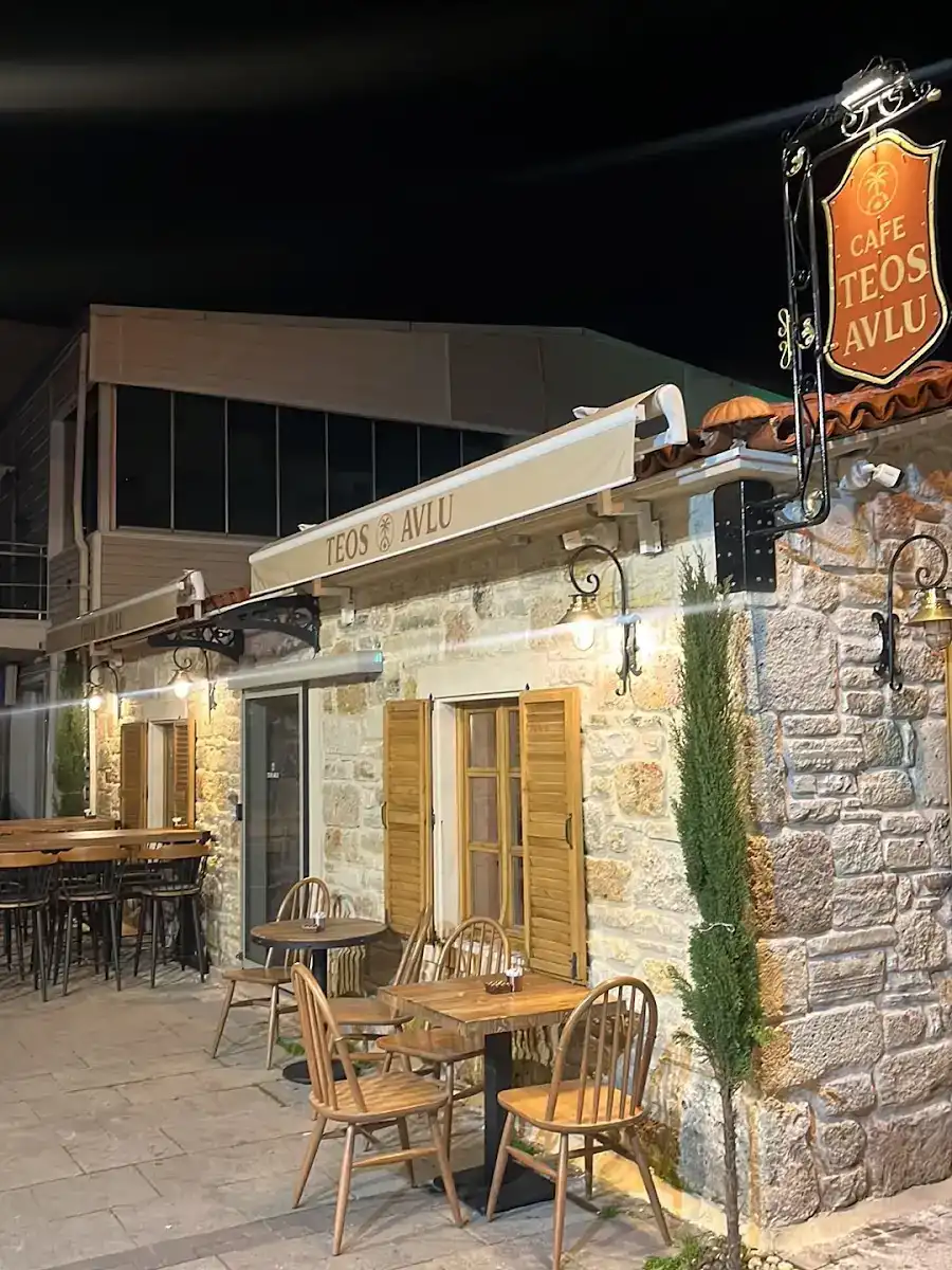Teos Avlu fotoğraf 3