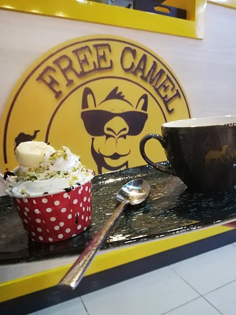 freecamel coffee fotoğraf 2