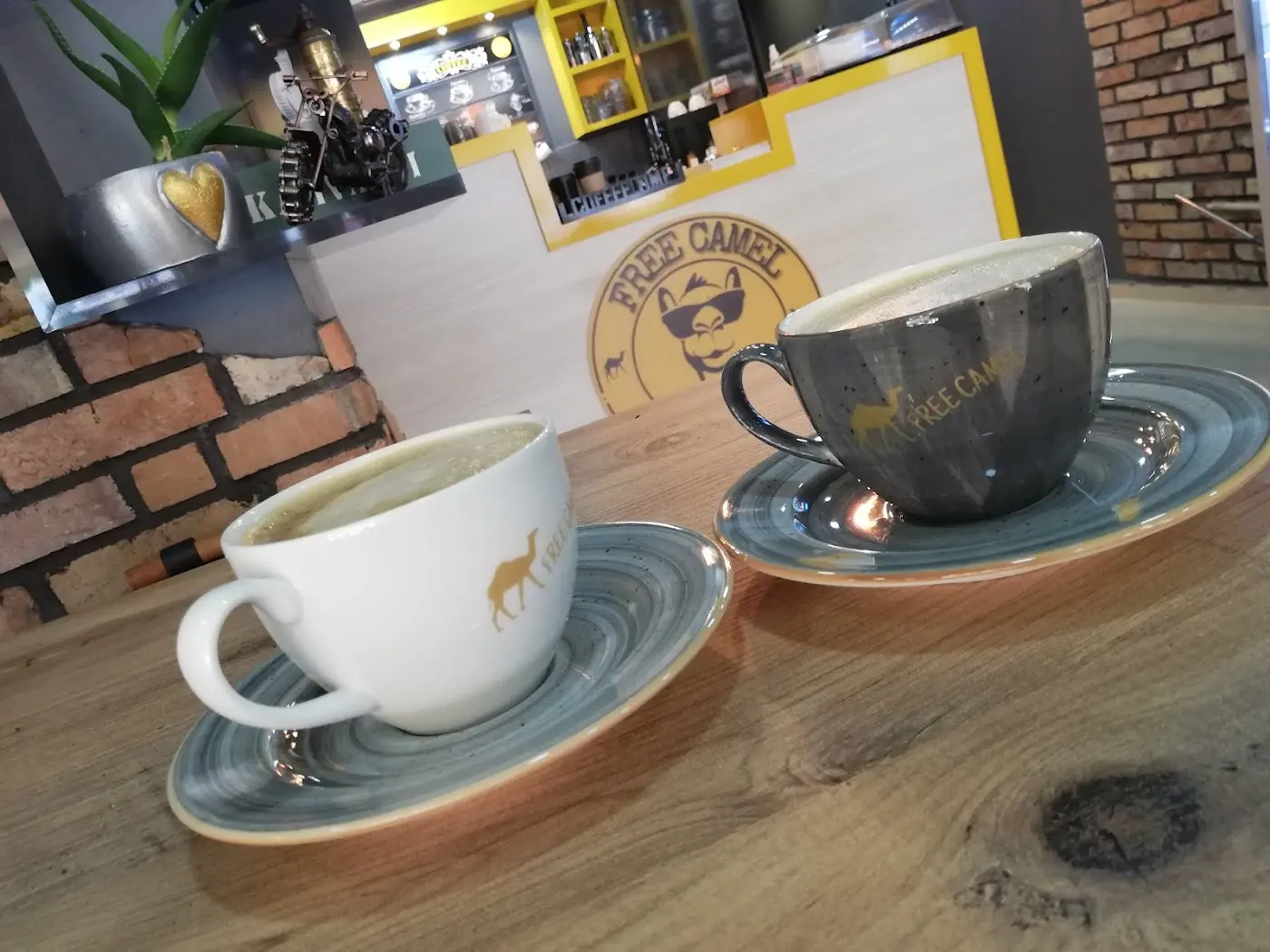 freecamel coffee fotoğraf 3