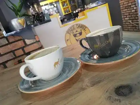 freecamel coffee fotoğraf 3