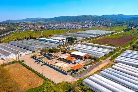 Bademler Doğal Yaşam Köyü