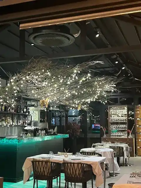 Mandarinn Restaurant fotoğraf 3