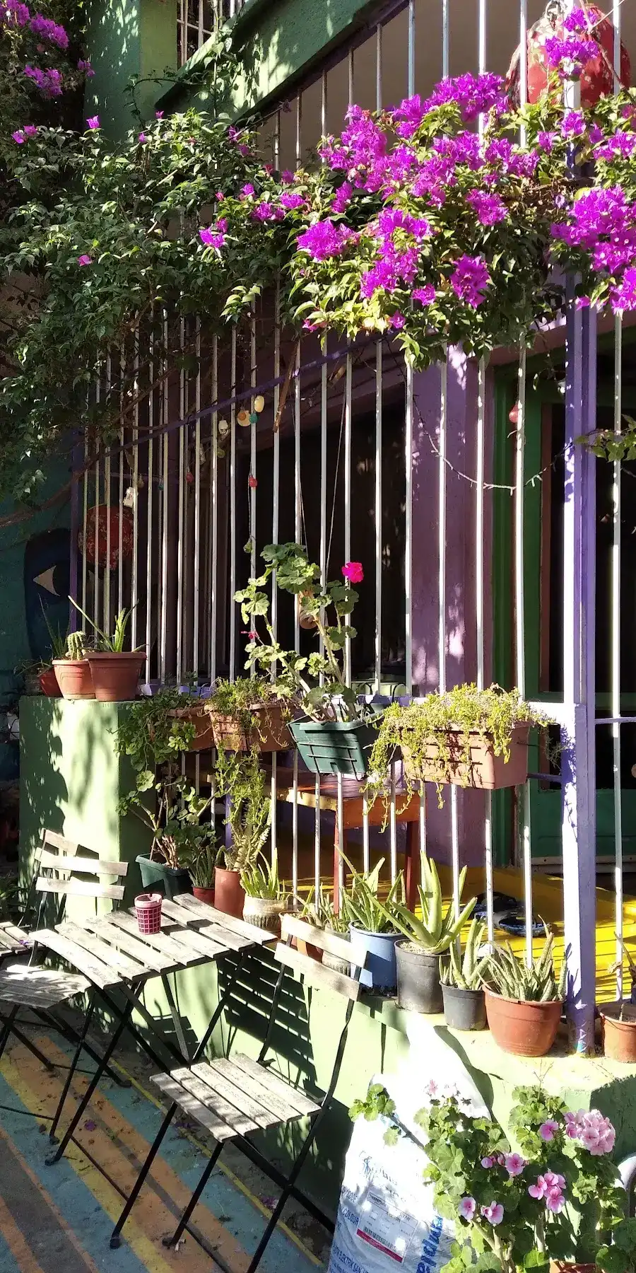 Shantihome Hostel İzmir