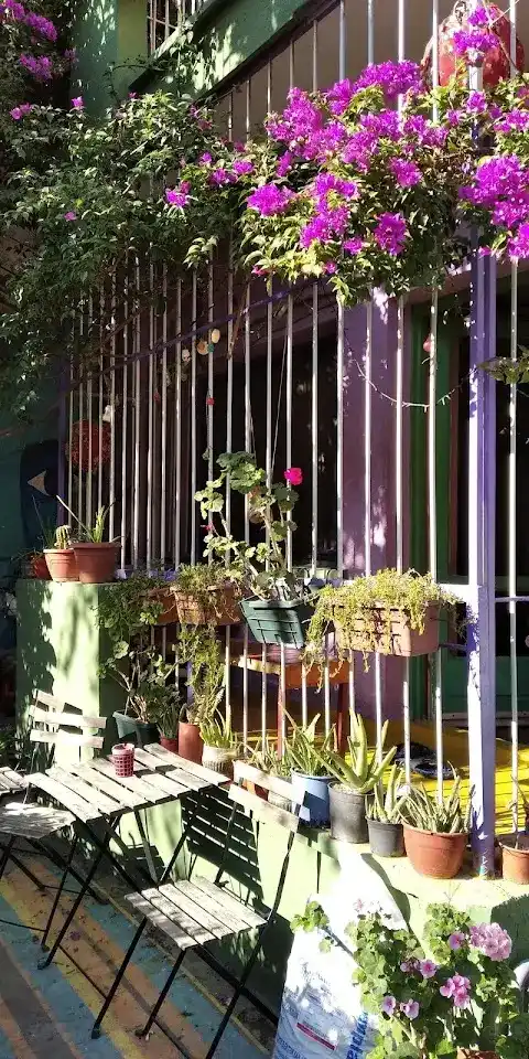 Shantihome Hostel İzmir