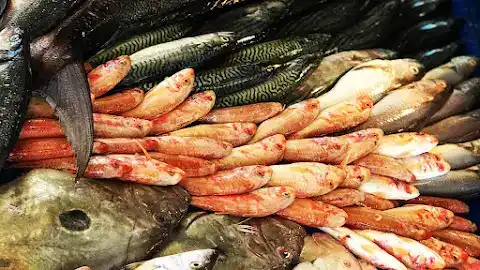 Balıkçım Urla fotoğraf 2