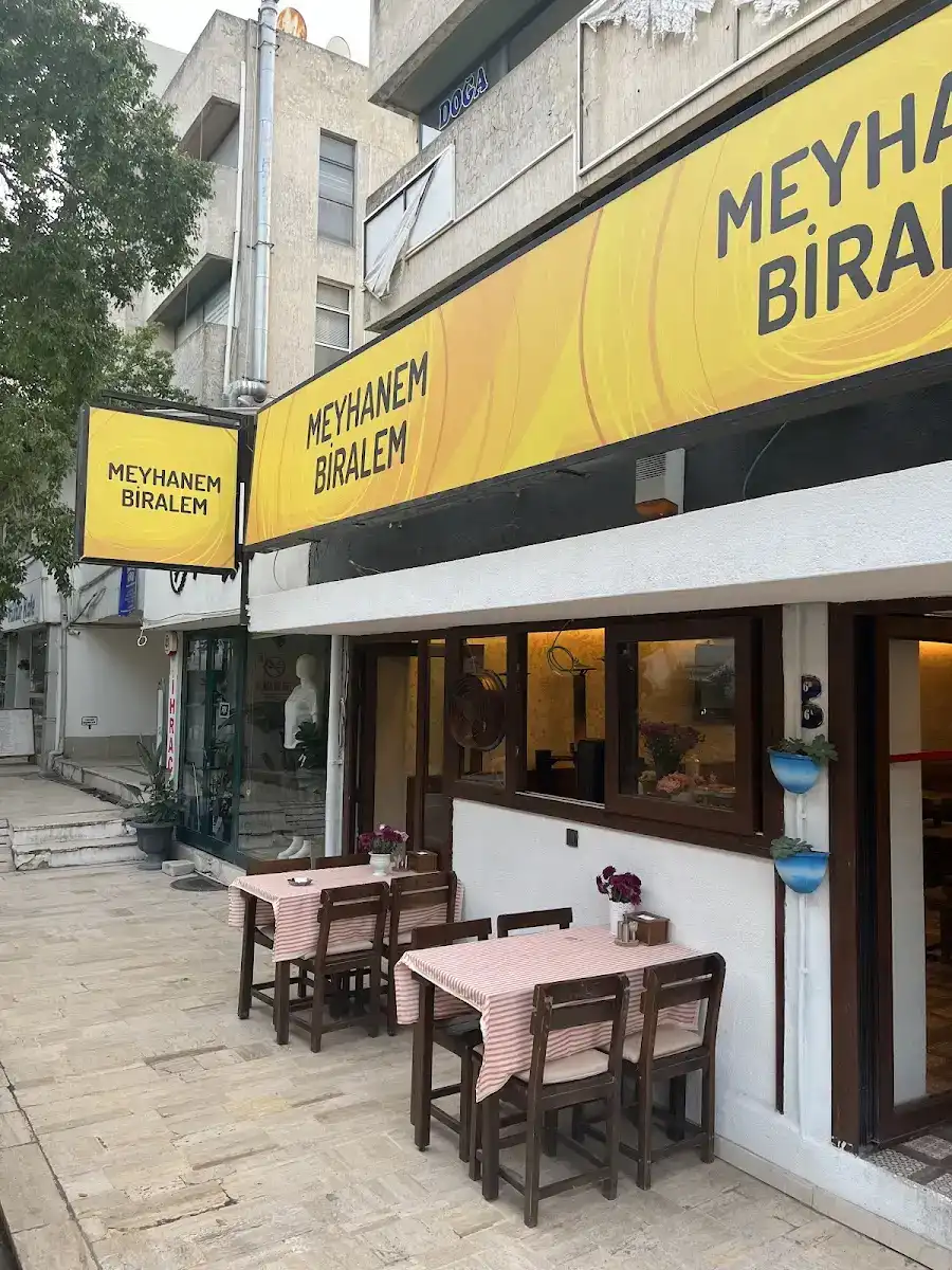 Biralem fotoğraf 3