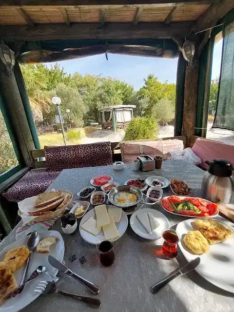 FERONIA KAHVALTI BAHÇESİ fotoğraf 2