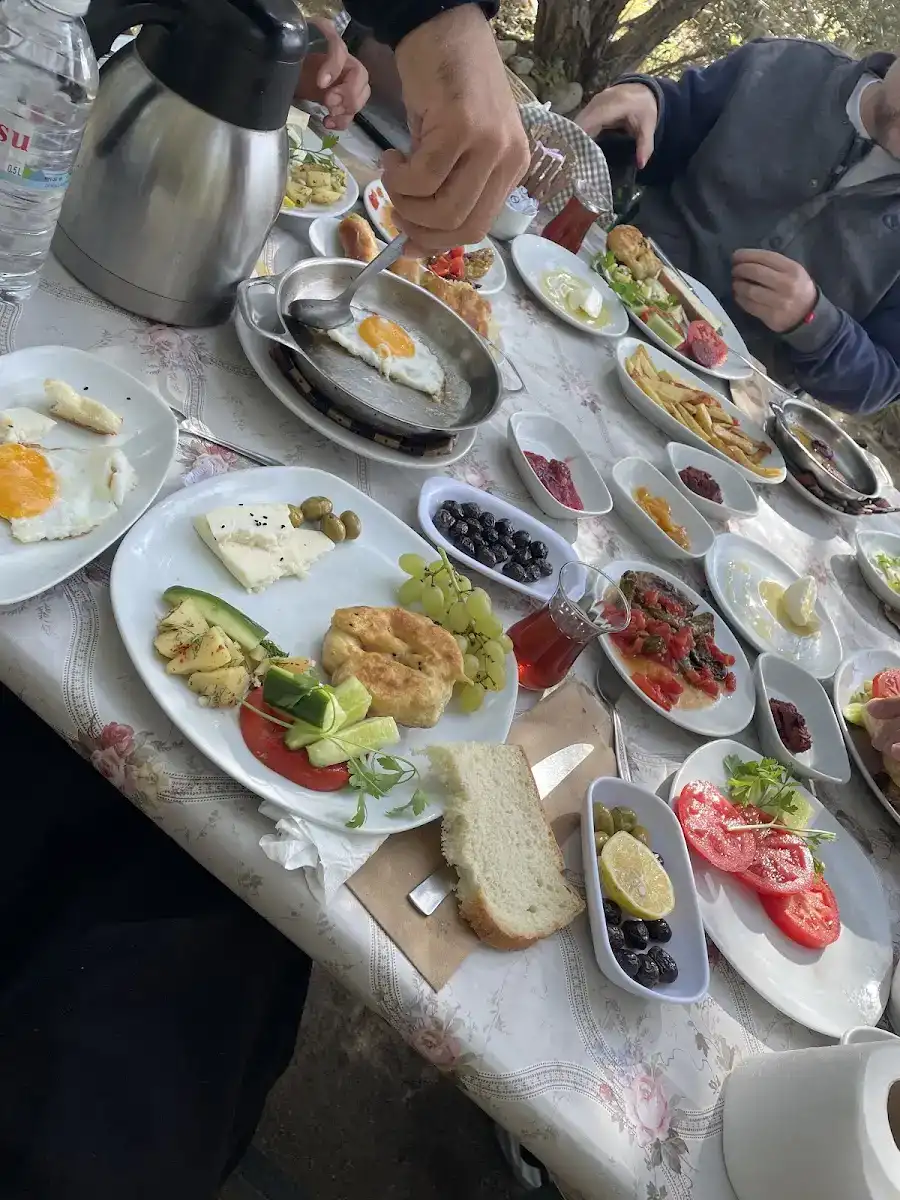 FERONIA KAHVALTI BAHÇESİ fotoğraf 3