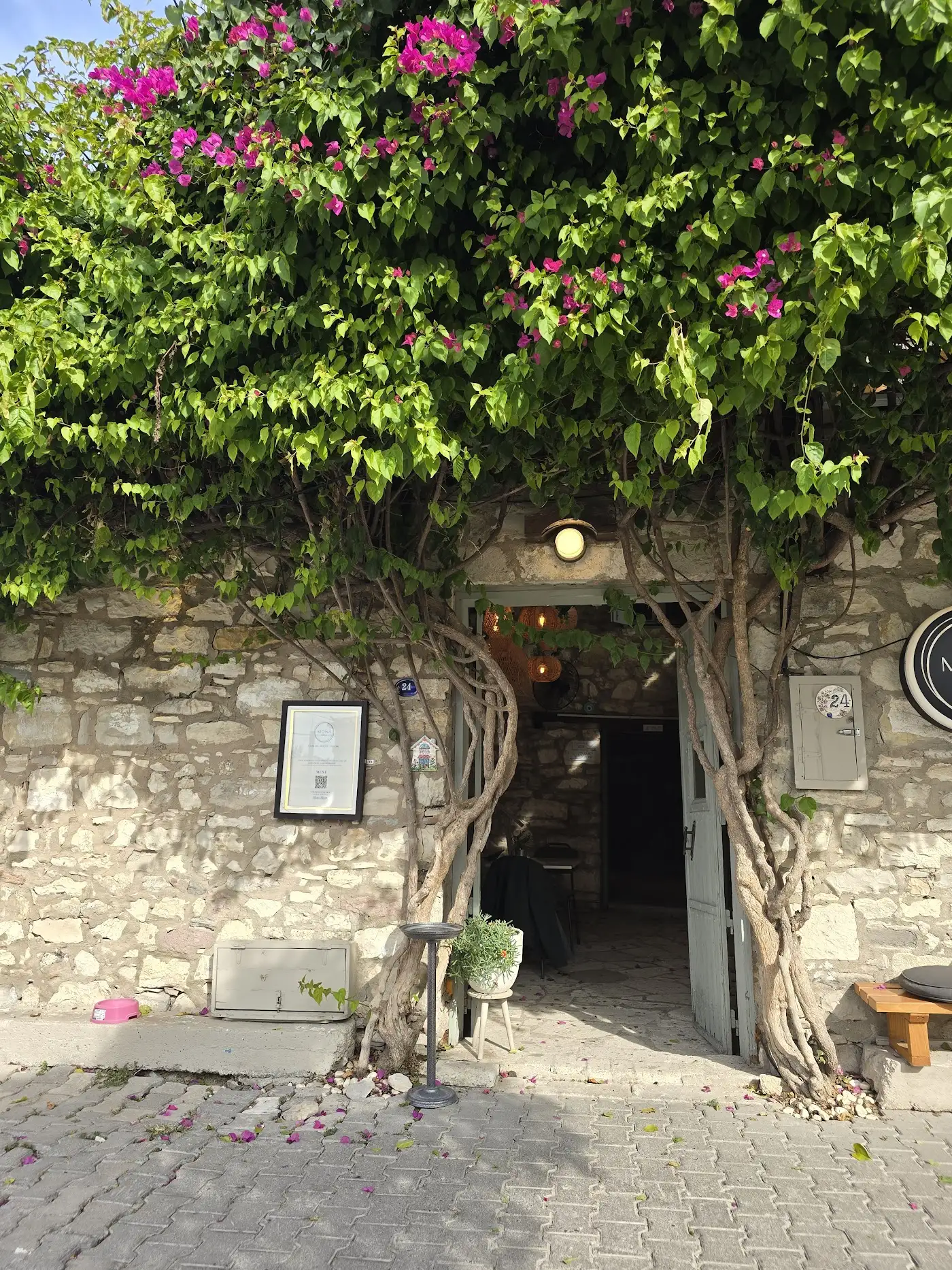 Mona Urla fotoğraf 3
