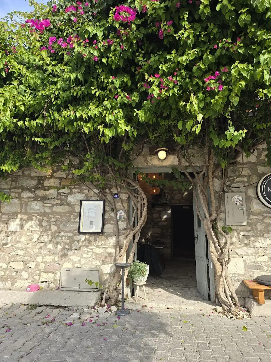 Mona Urla fotoğraf 3
