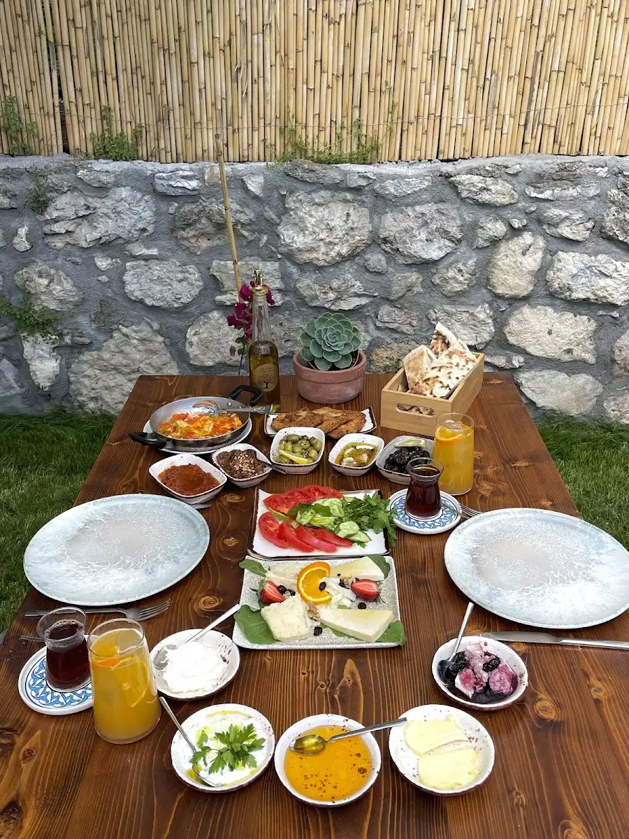 Radika fotoğraf 2