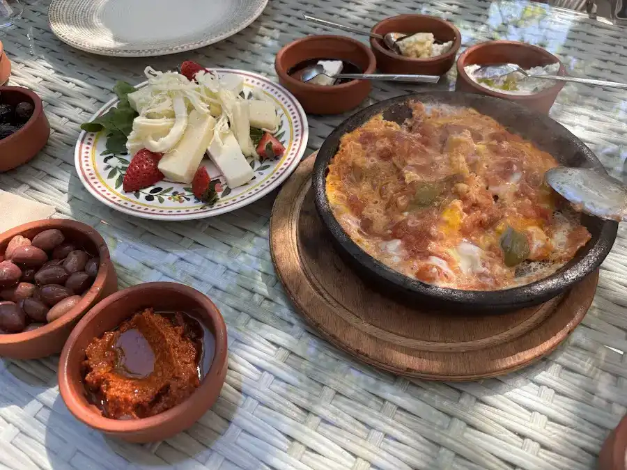 Radika fotoğraf 3