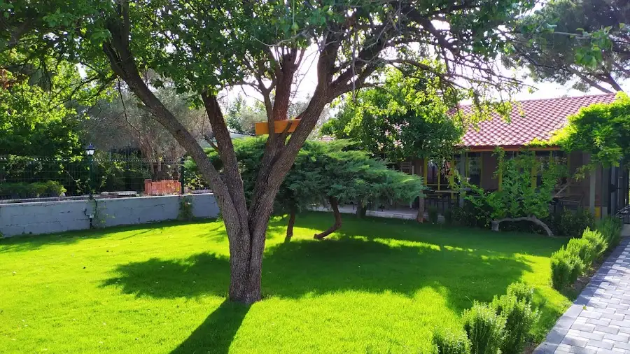 Urla Kadıköy Kahvaltı fotoğraf 3