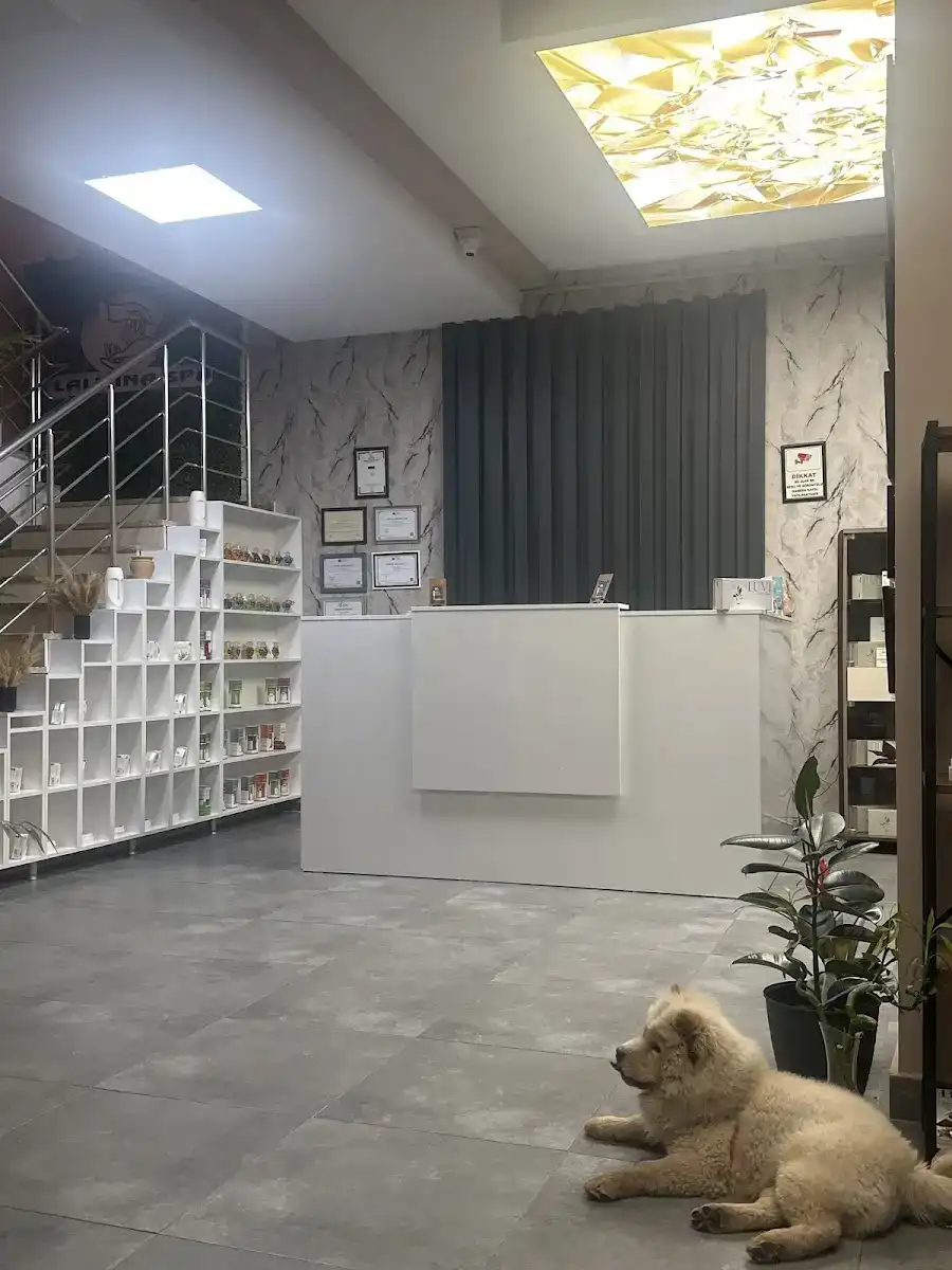 Lalmina Spa ve Masaj Merkezi