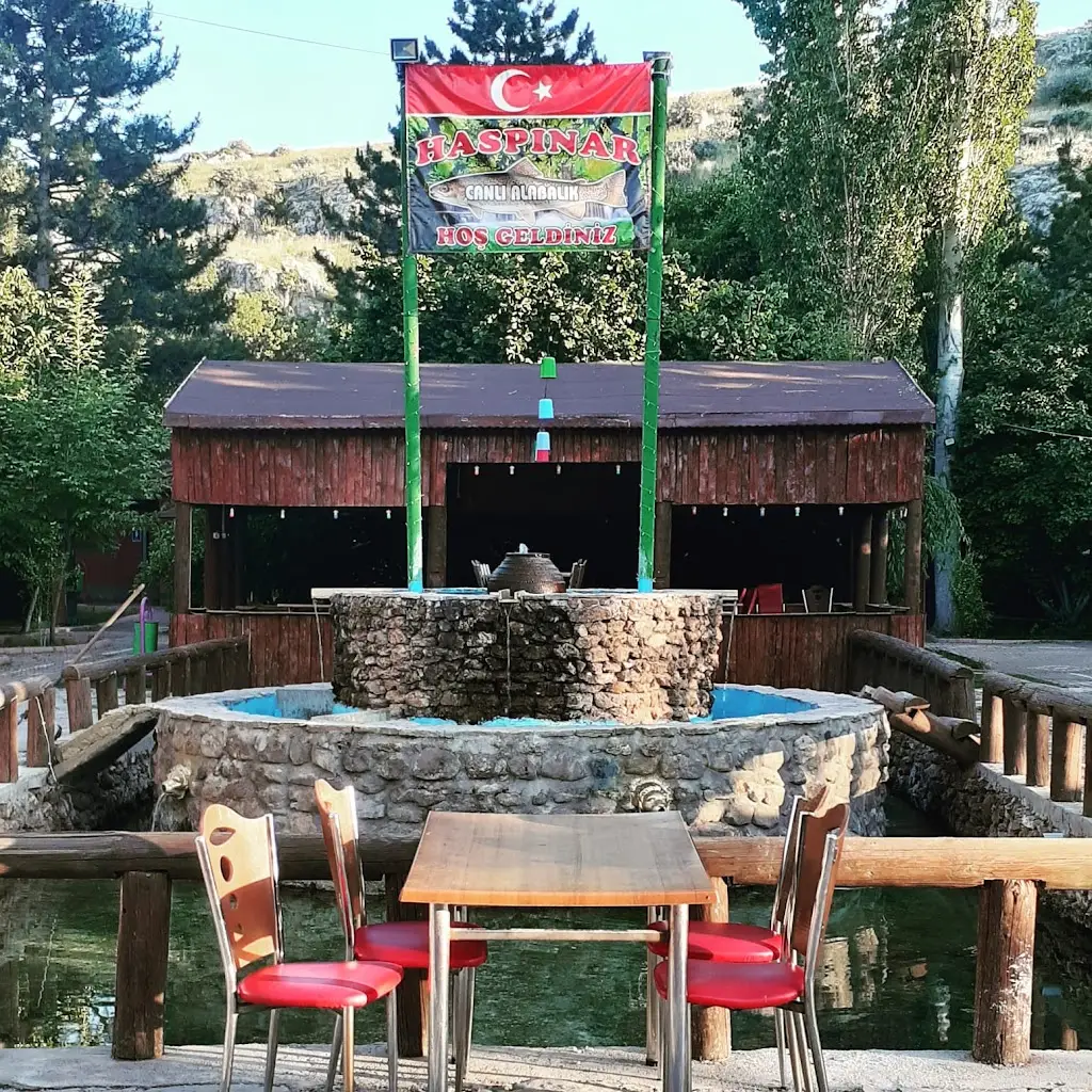 Haspınar Alabalık Restaurant