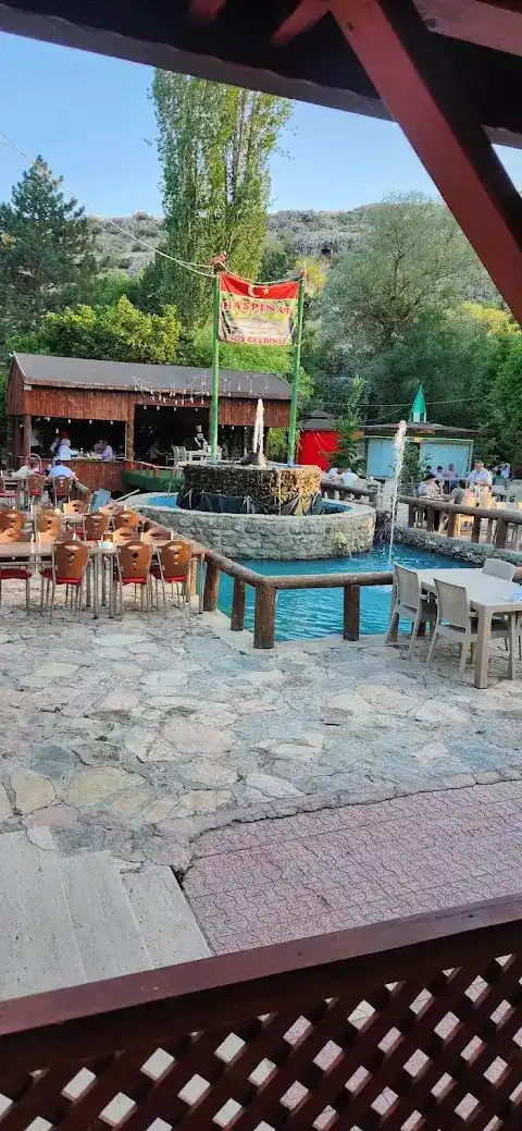 Haspınar Alabalık Restaurant fotoğraf 3