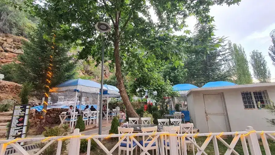 Kozağaç Alabalık Restaurant fotoğraf 3