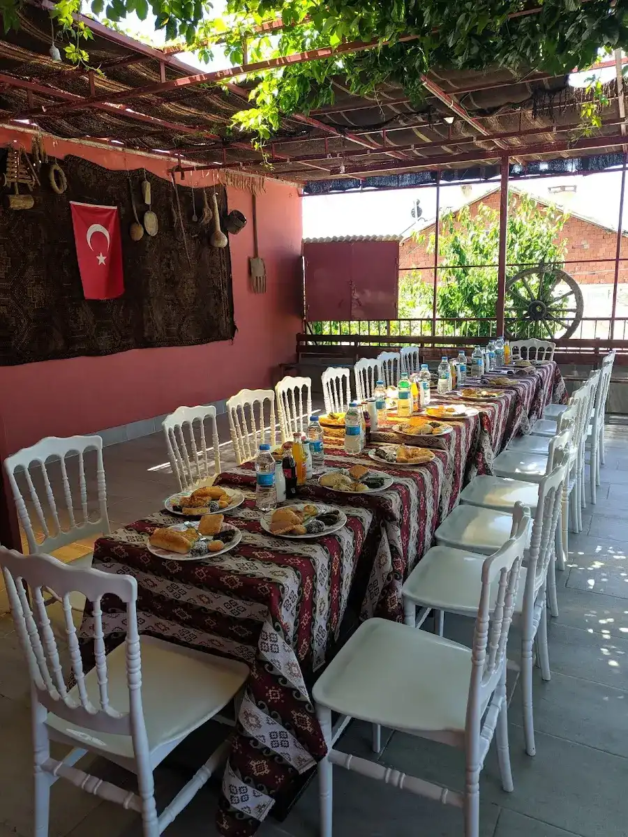 Hafızın Yeri