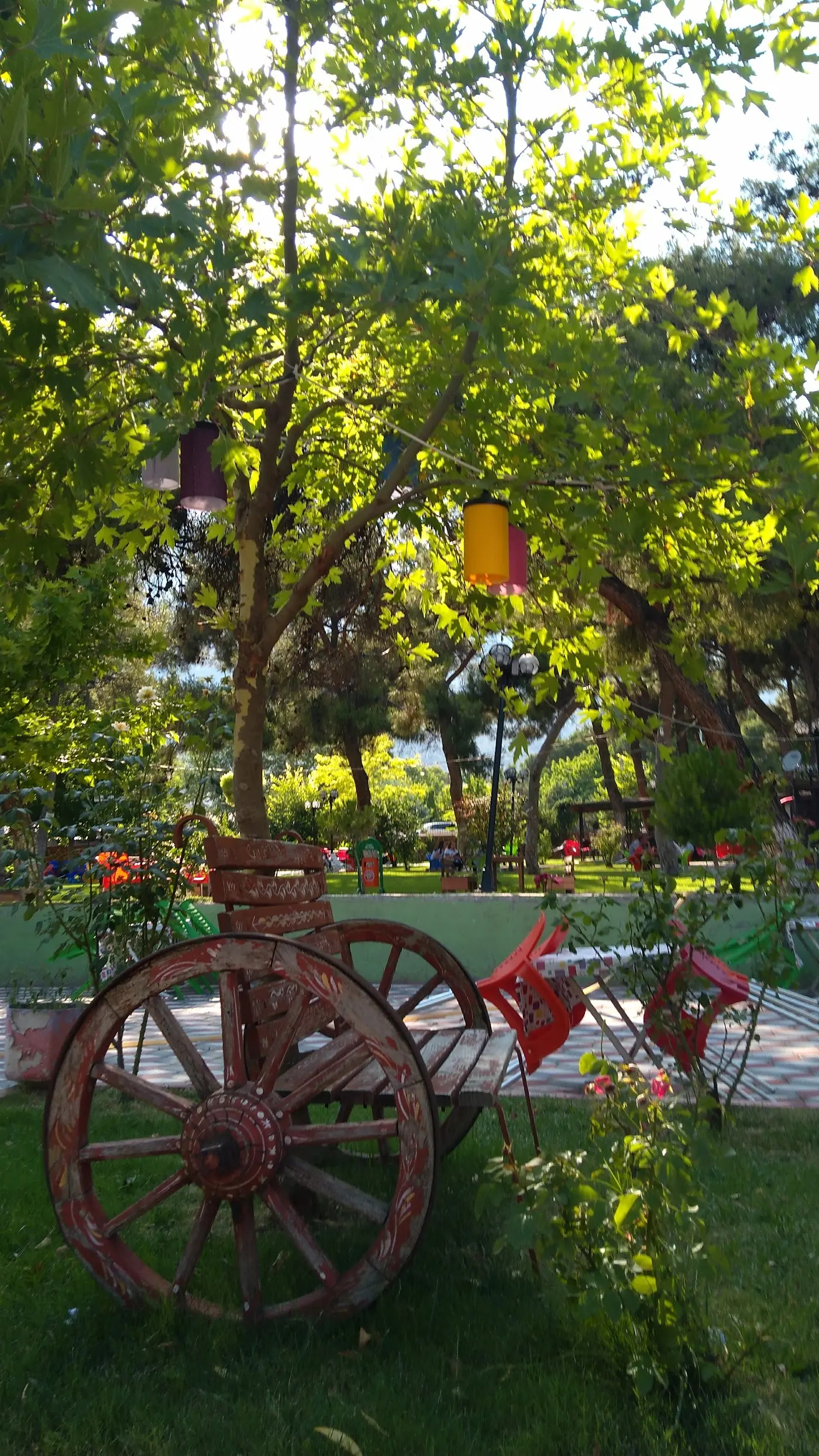 special cafe fotoğraf 3
