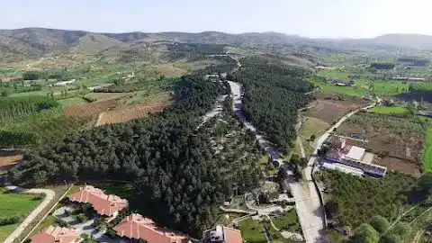 Kula Keyf-i Sedir fotoğraf 3