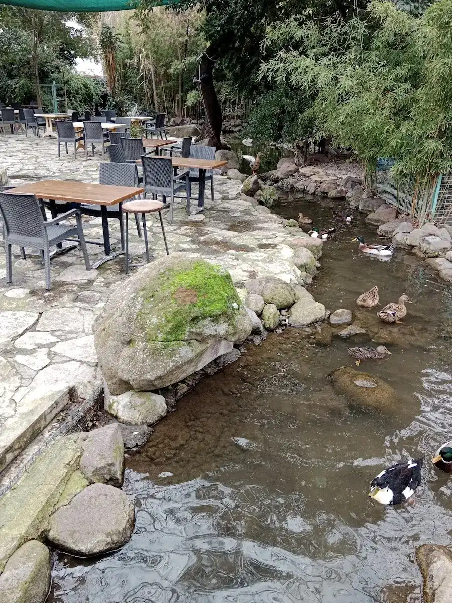 Barış Alanı Cafe ve Kahvaltı fotoğraf 3