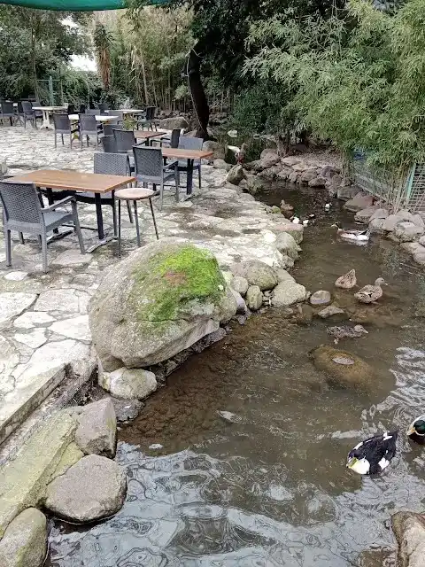 Barış Alanı Cafe ve Kahvaltı fotoğraf 3