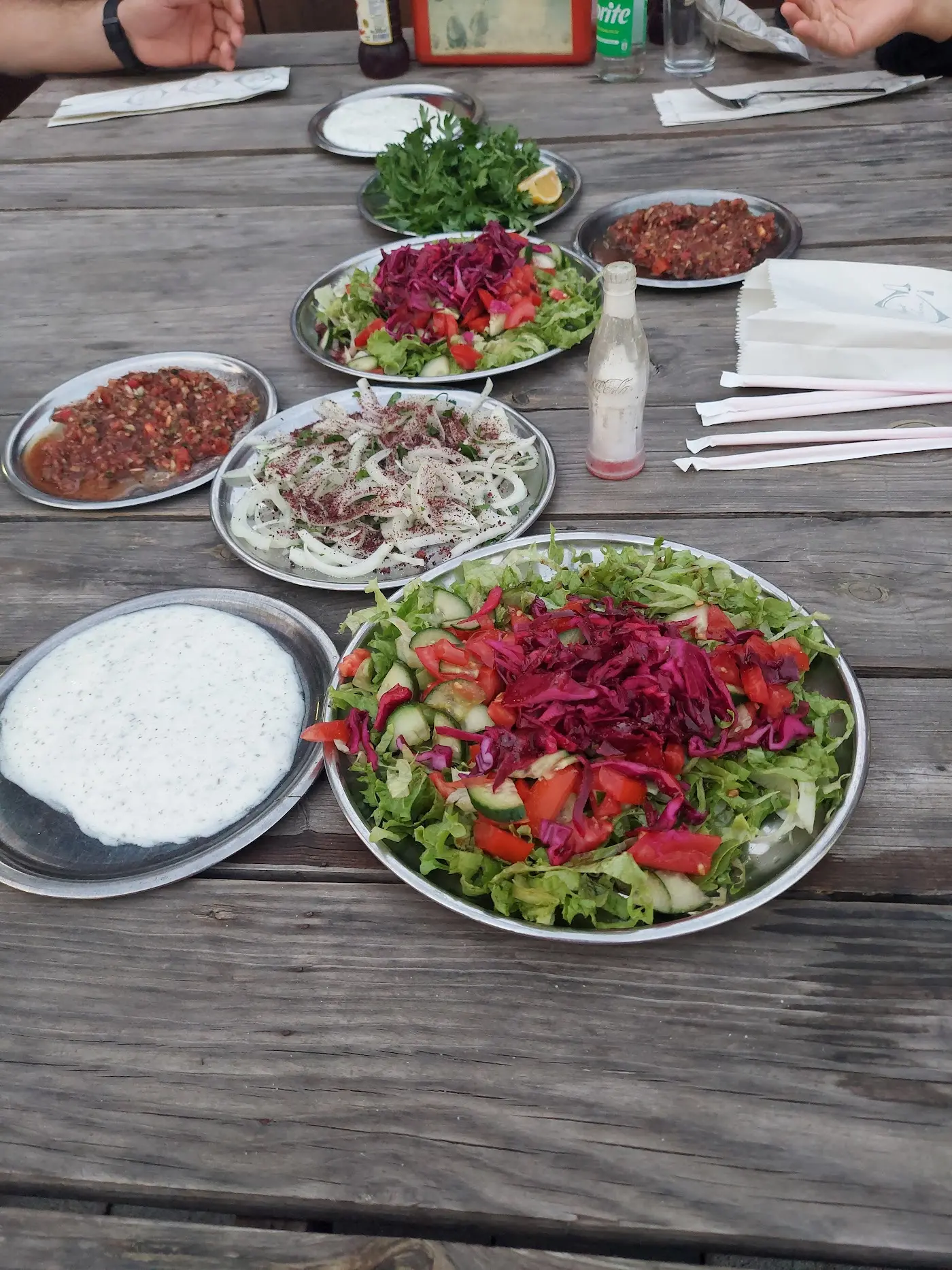 ADANA OCAKBAŞI fotoğraf 3
