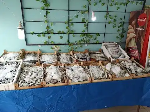 MARİNA BALIK RESTORAN MARDİN BALIK fotoğraf 2