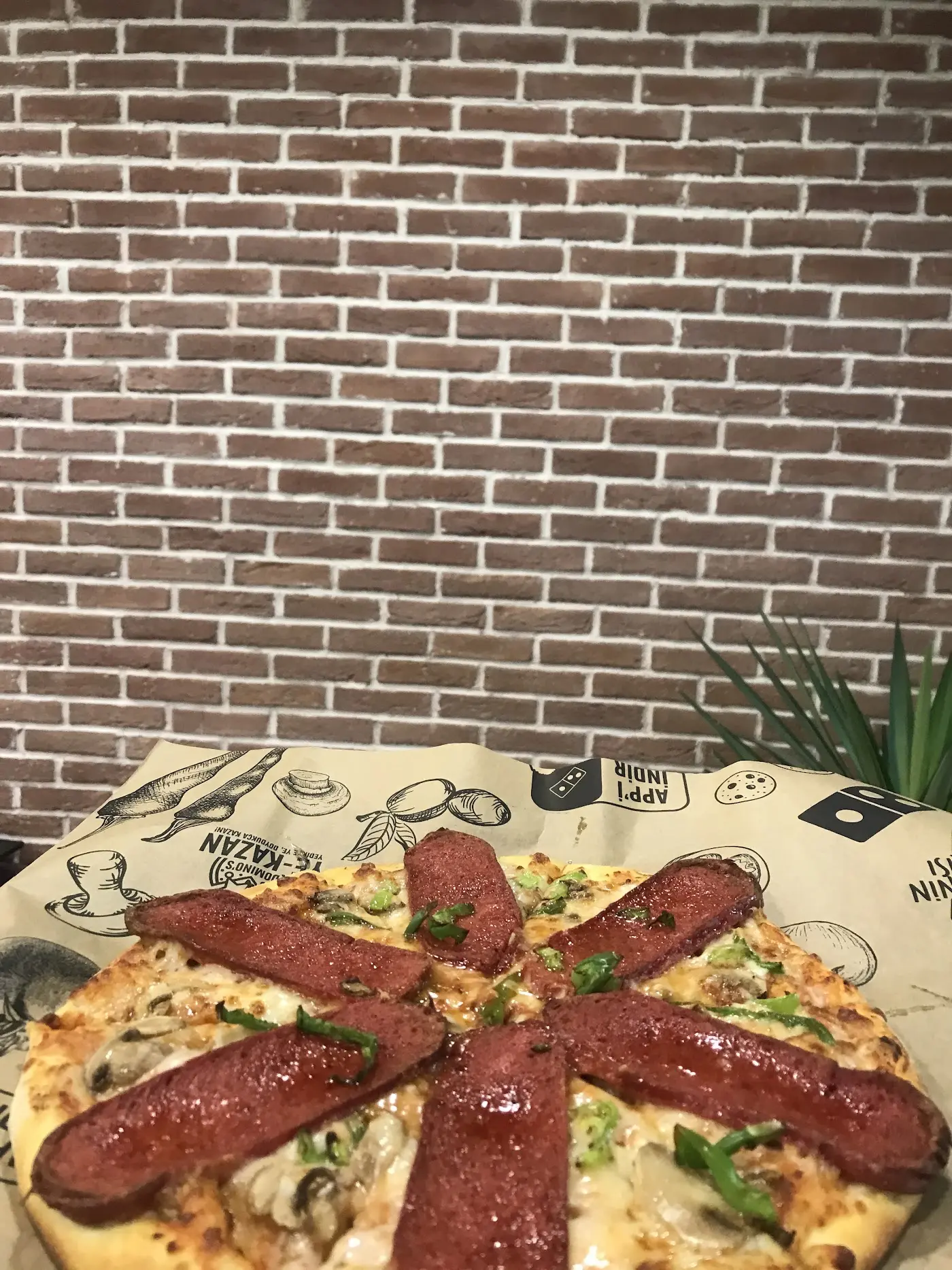 Domino's Pizza Mardin Nusaybin