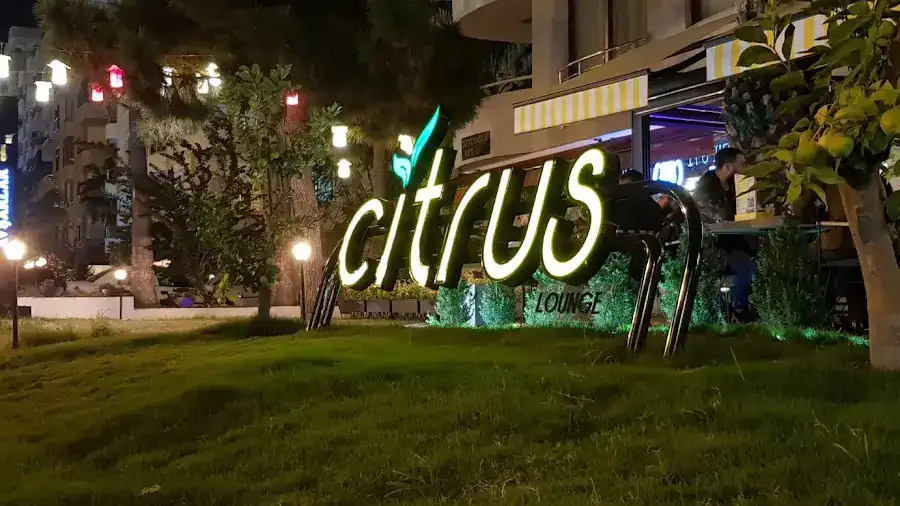 Lounge Citrus fotoğraf 3
