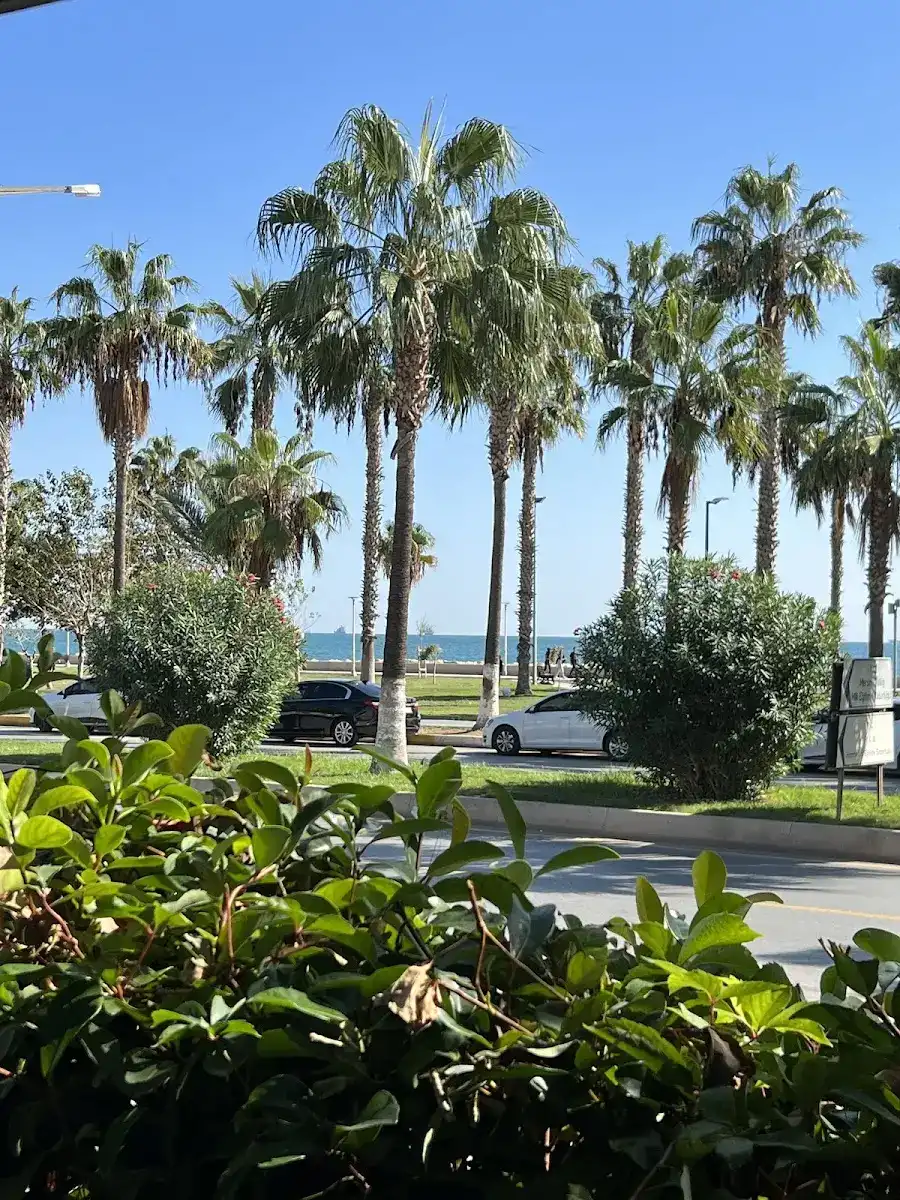 Yasemin Cadde Cafe fotoğraf 3