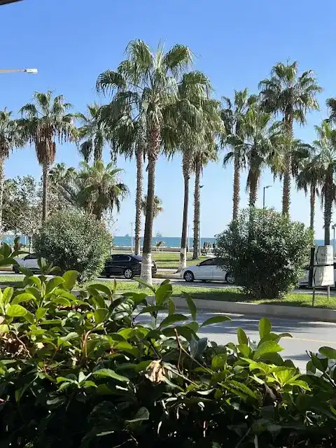 Yasemin Cadde Cafe fotoğraf 3