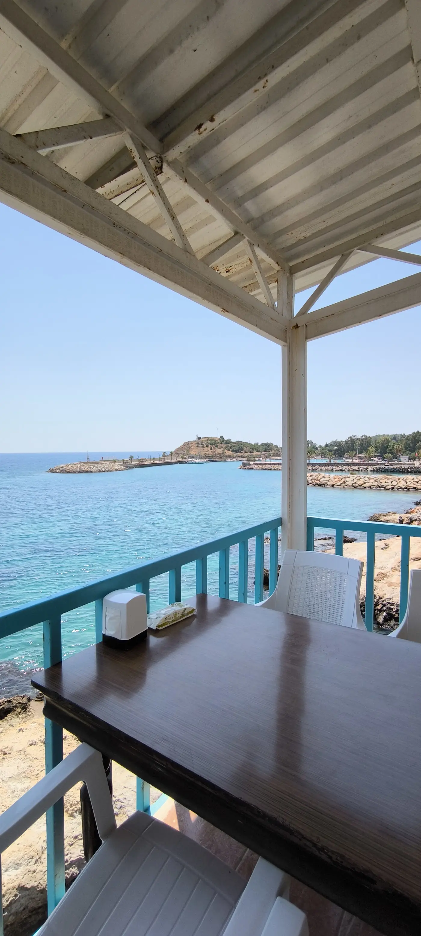 Arsinoe Restoran fotoğraf 3